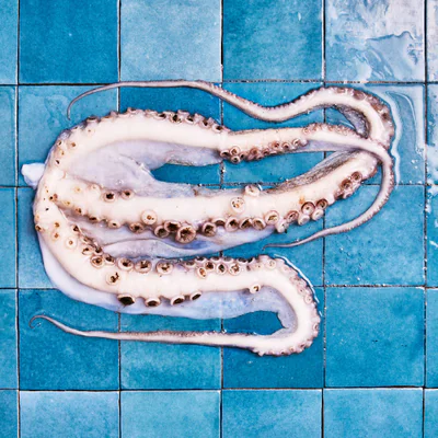 Le poulpe de roche à bien congeler pour l'attendrir. Vous pouvez couper les tentacules, et les congeler individuellem...