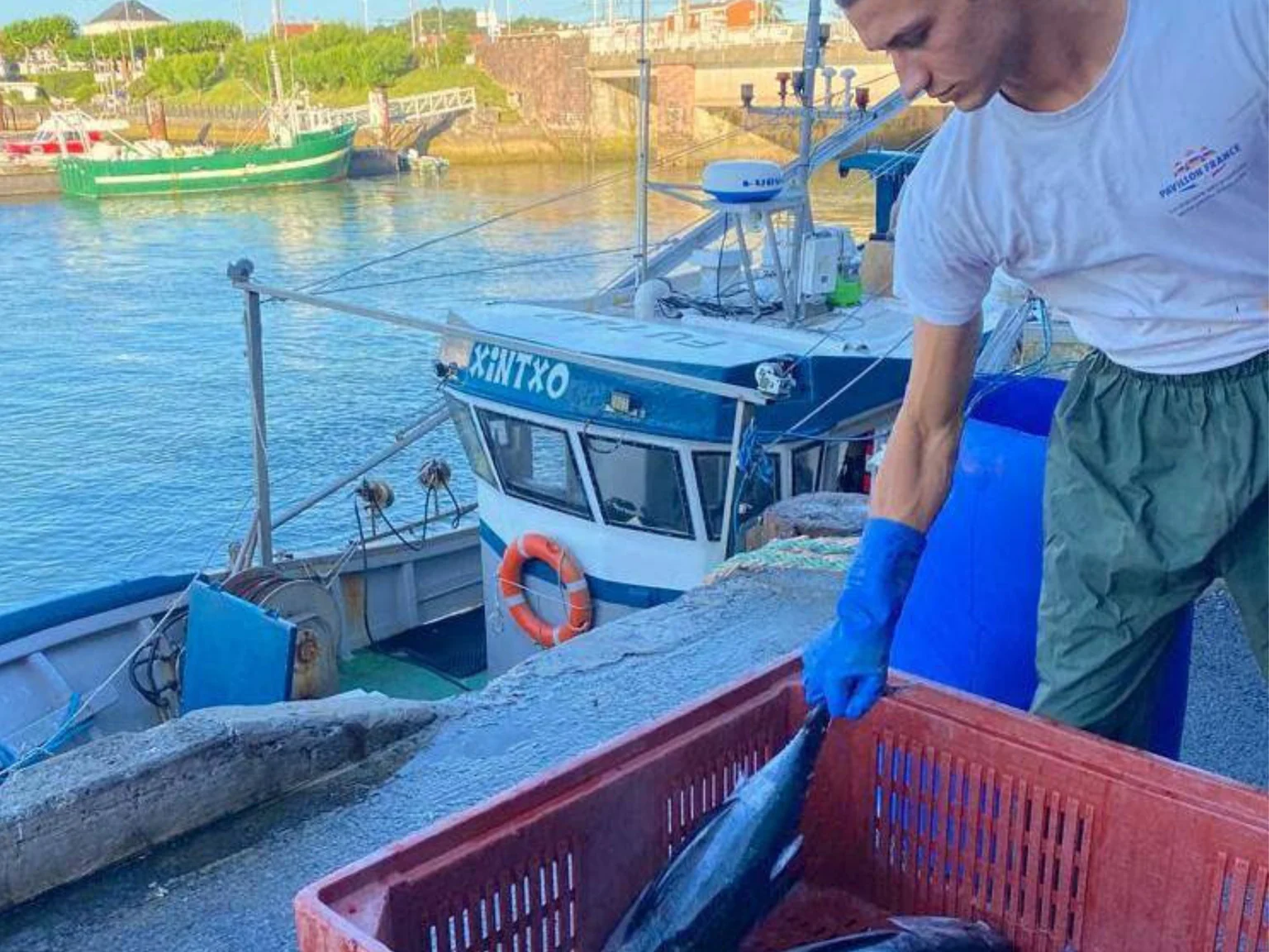 Pêcheur Poiscaille avec thon germon.
