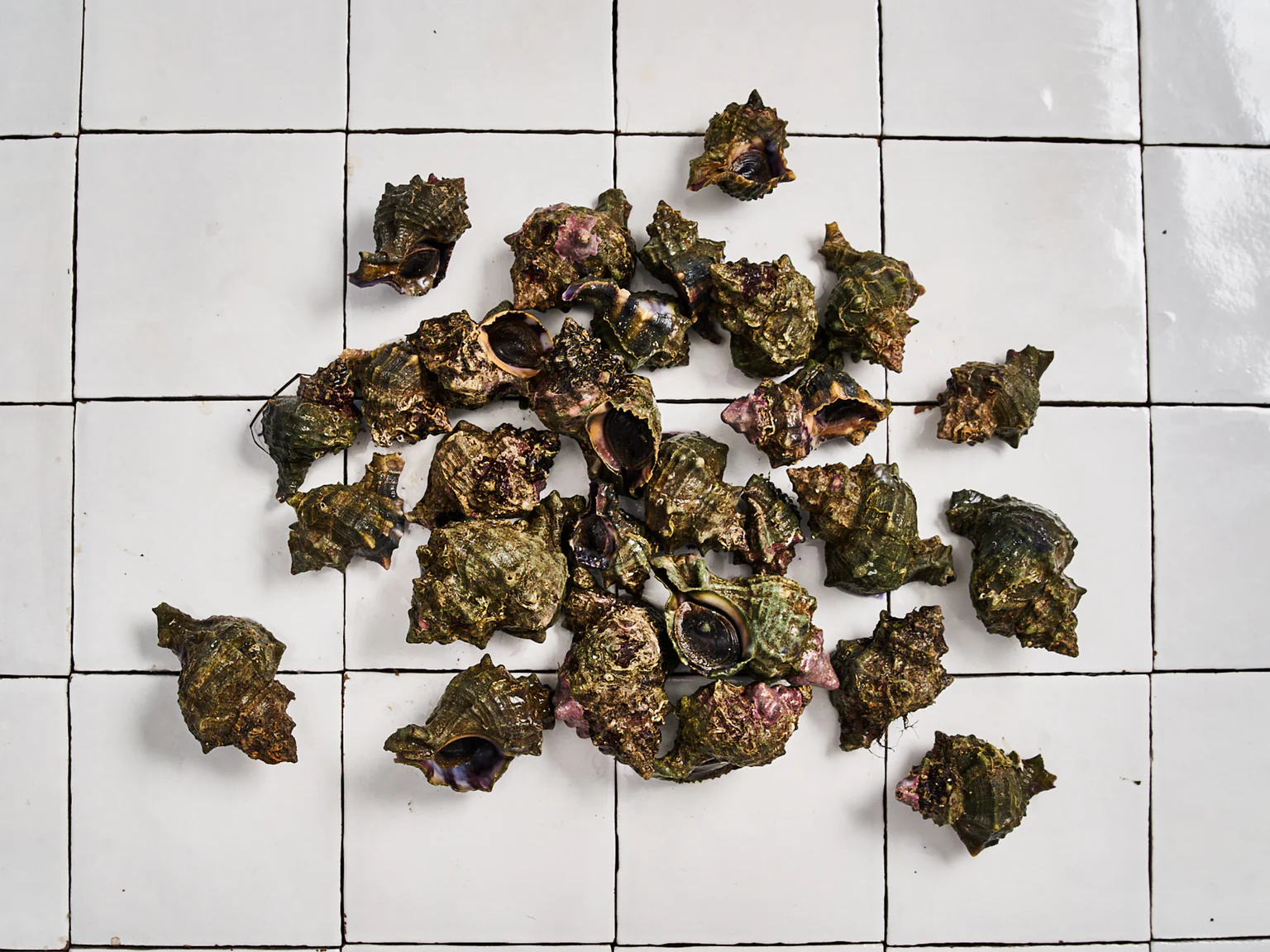 Conseils de cuisson pour les bious et les murex