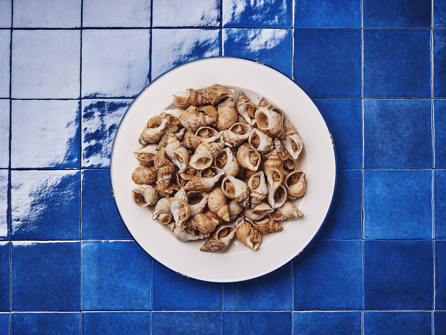 Cuisson des bulots - Méthode simple pour cuire les bulots