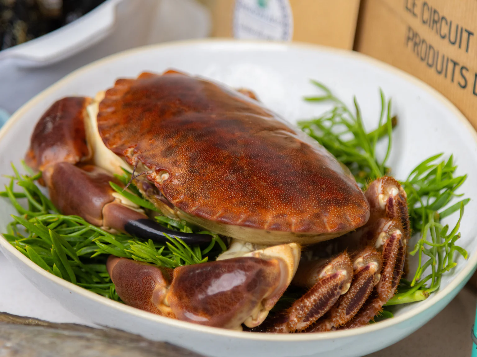 Comment bien conserver ses crustacés à la maison ?