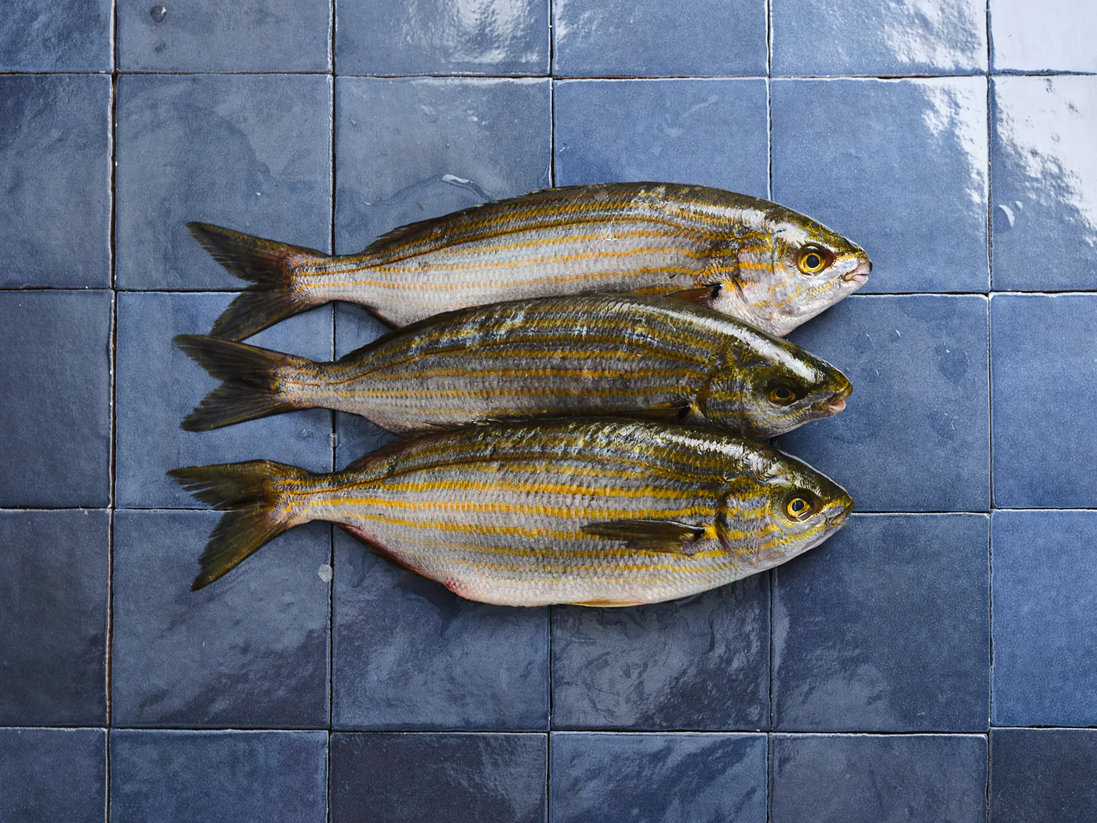Recettte de poissons, coquillages ou crustacés.