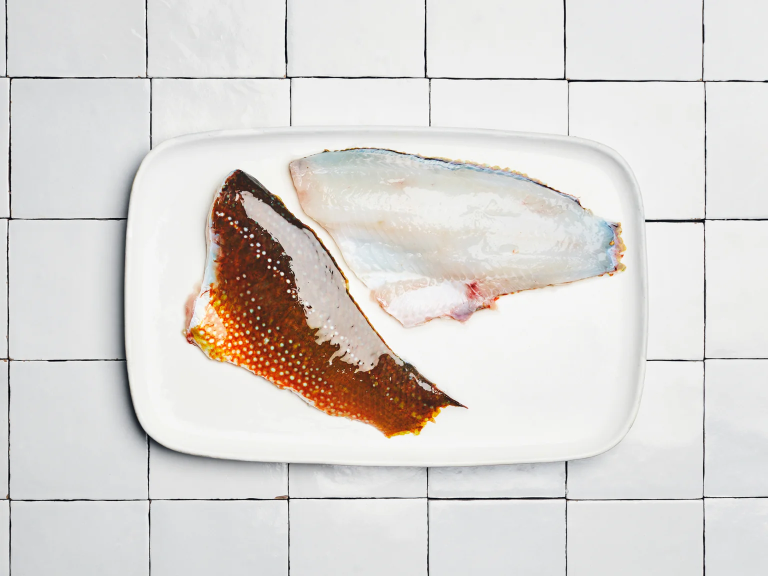 De beaux filets de vieille. Parfaits pour un tartare.