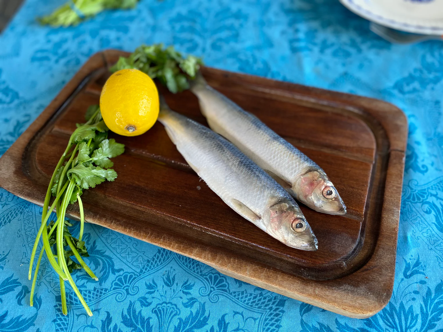 Recette harengs frais marines carpaccio poele