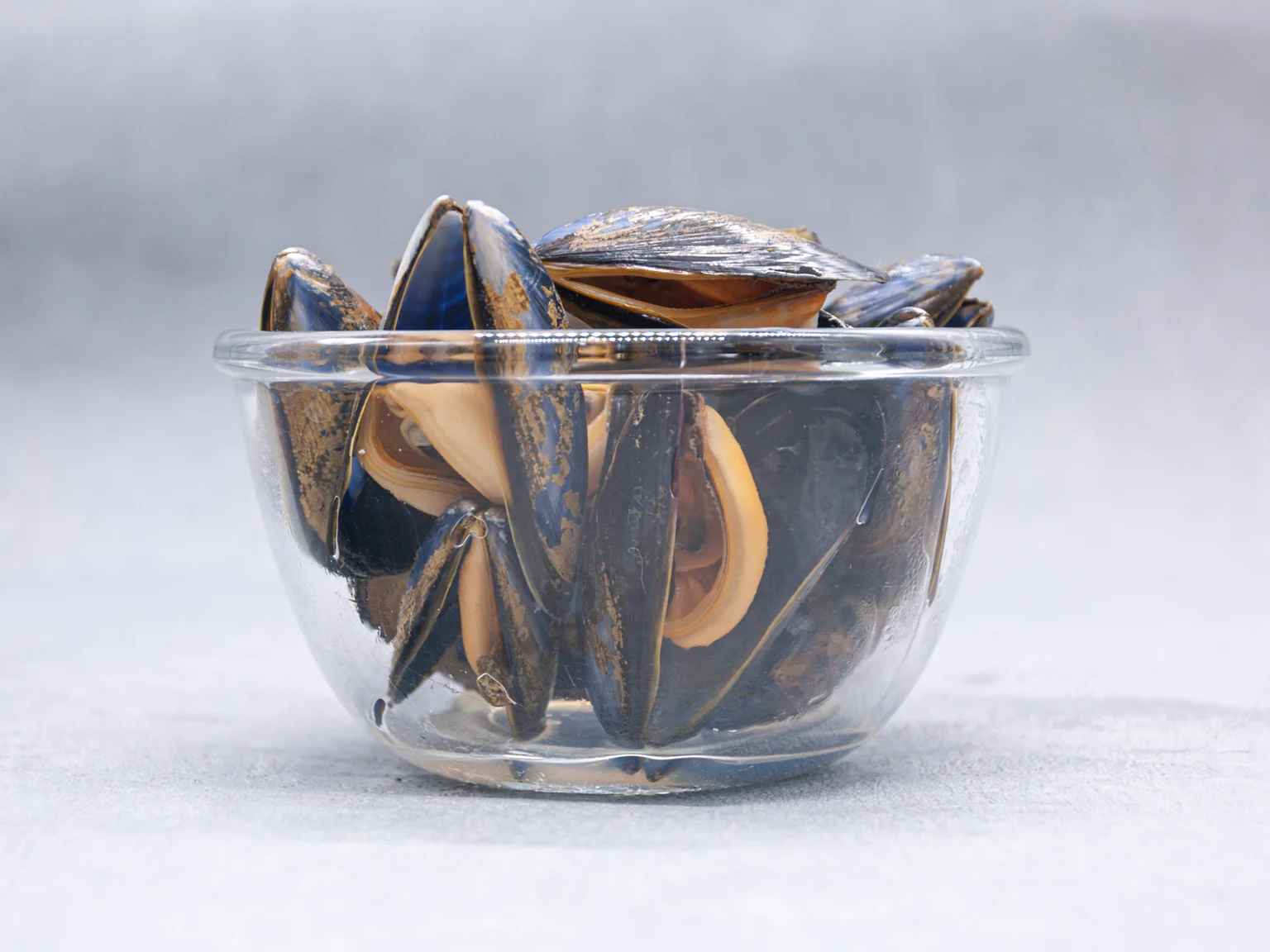 Cuisinez vos moules rapidement et simplement : le goût délicieux du coquillage sera bien gardé !