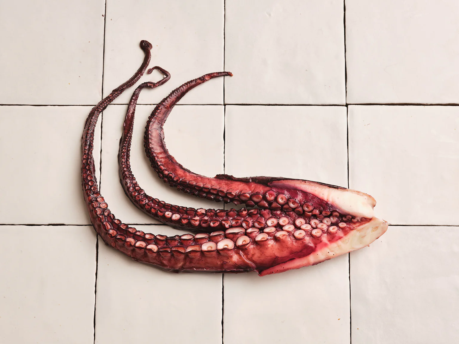 Poulpe fumé en tentacules poiscaille.   