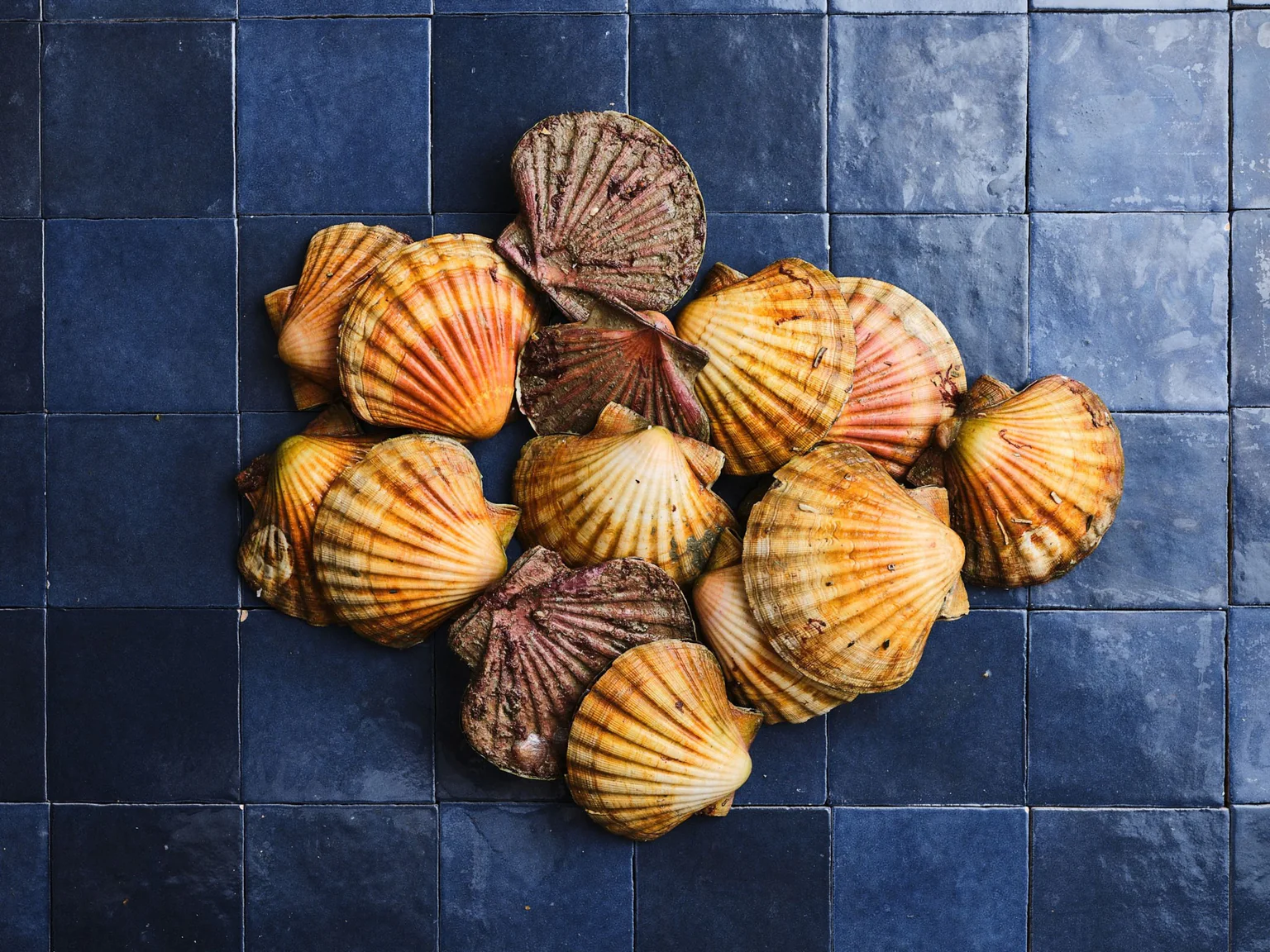 recette-tutoriel-fraicheur-coquilles-saint-jacques