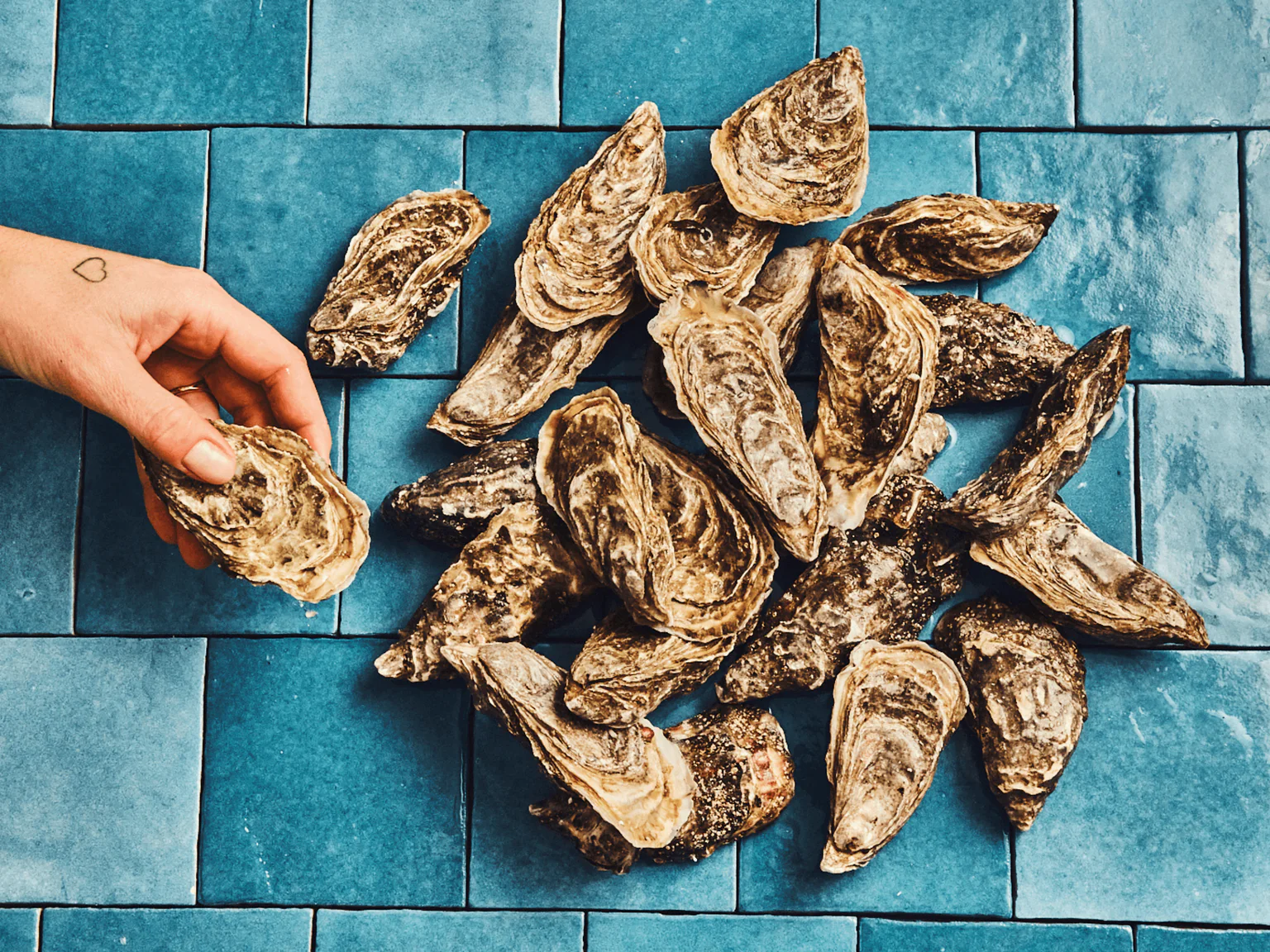 Comment ouvrir une huître sans se blesser