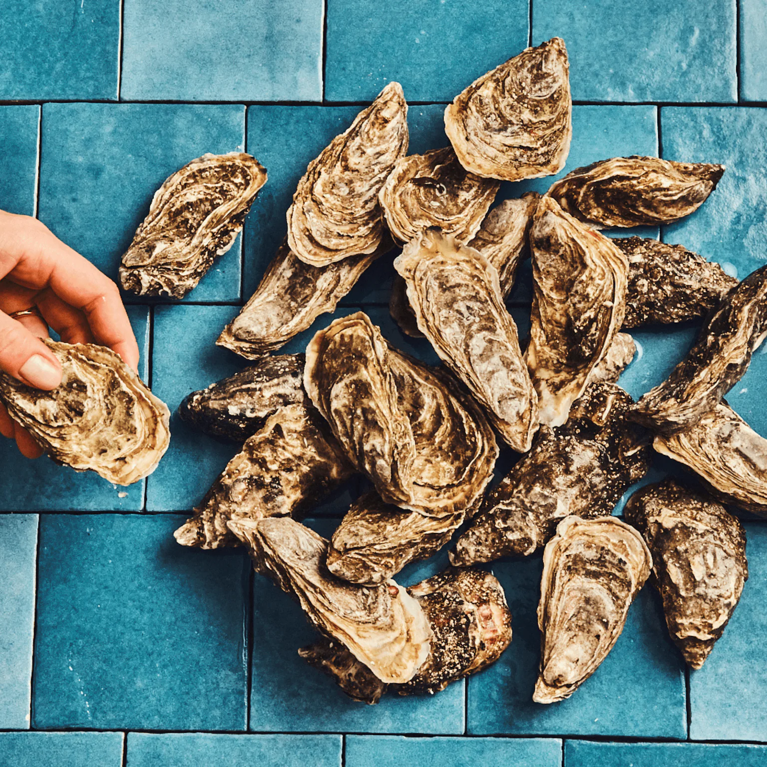 Comment ouvrir une huître sans se blesser