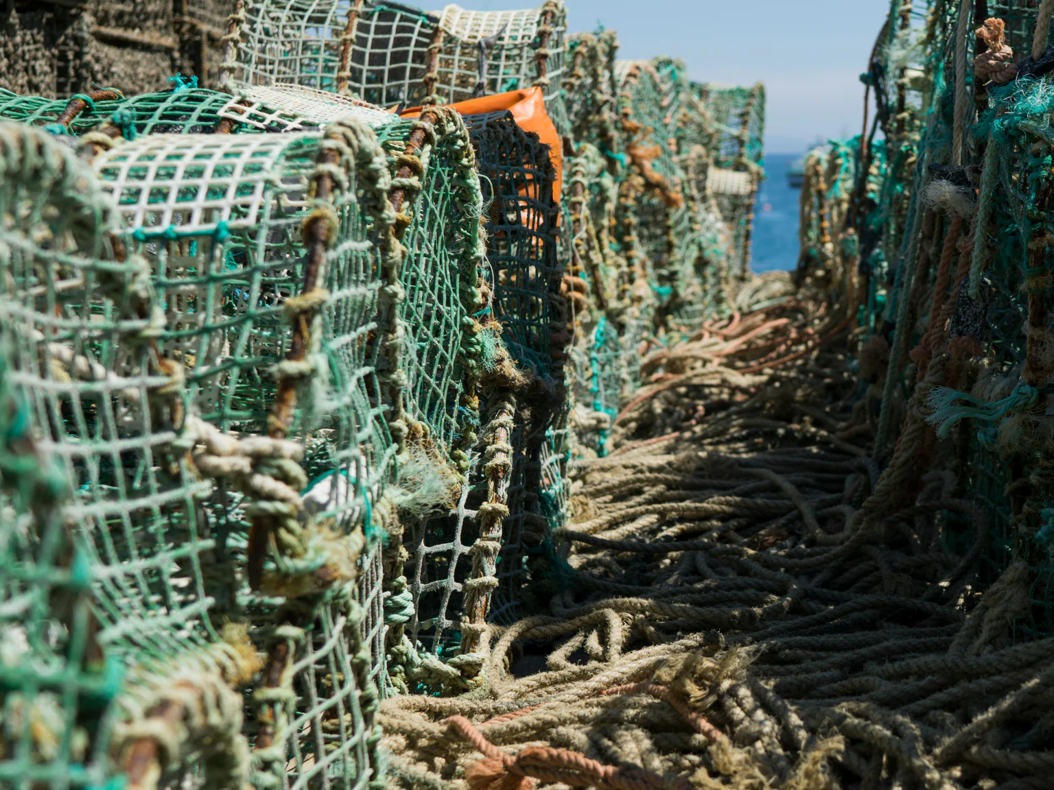 Des pièges lestés et déposés au fond de l’eau, remplis d’appâts pour attirer les crustacés et les céphalopodes.