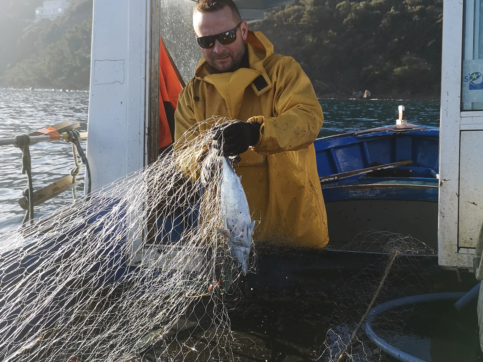 Une surface rectangulaire composée de mailles en forme de losanges ou de carrés.