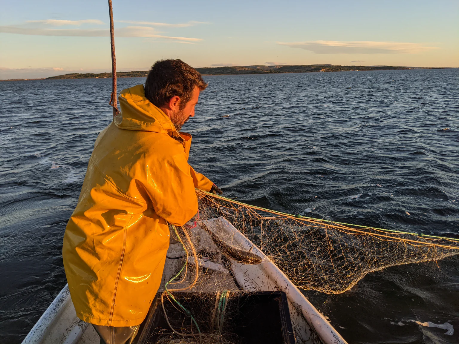 Trois nappes de filets superposées et composées de mailles de différentes tailles.