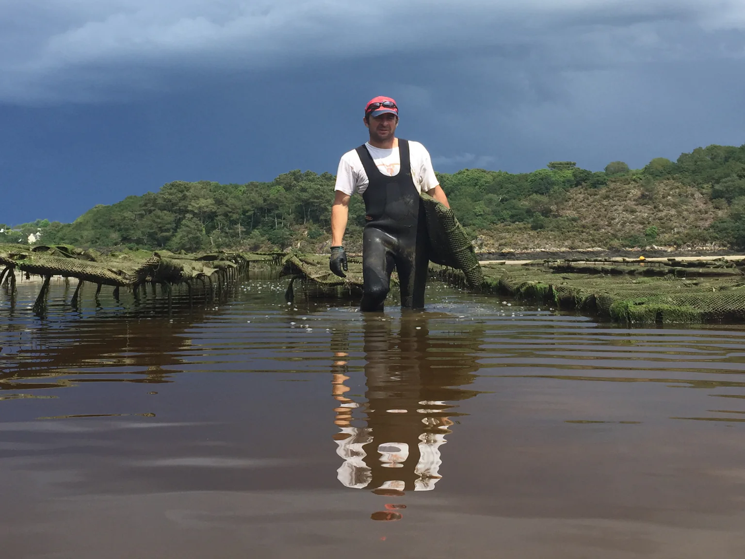 Des huîtres dites “nées en mer”. C’est à dire que les naissains sont captés en mer,