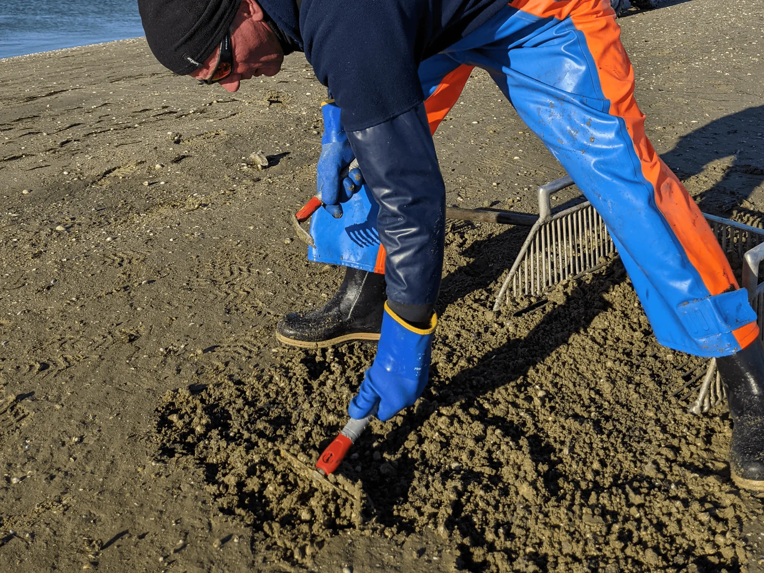 À marée basse, les pêcheurs ramassent les coquillages sur l’estran