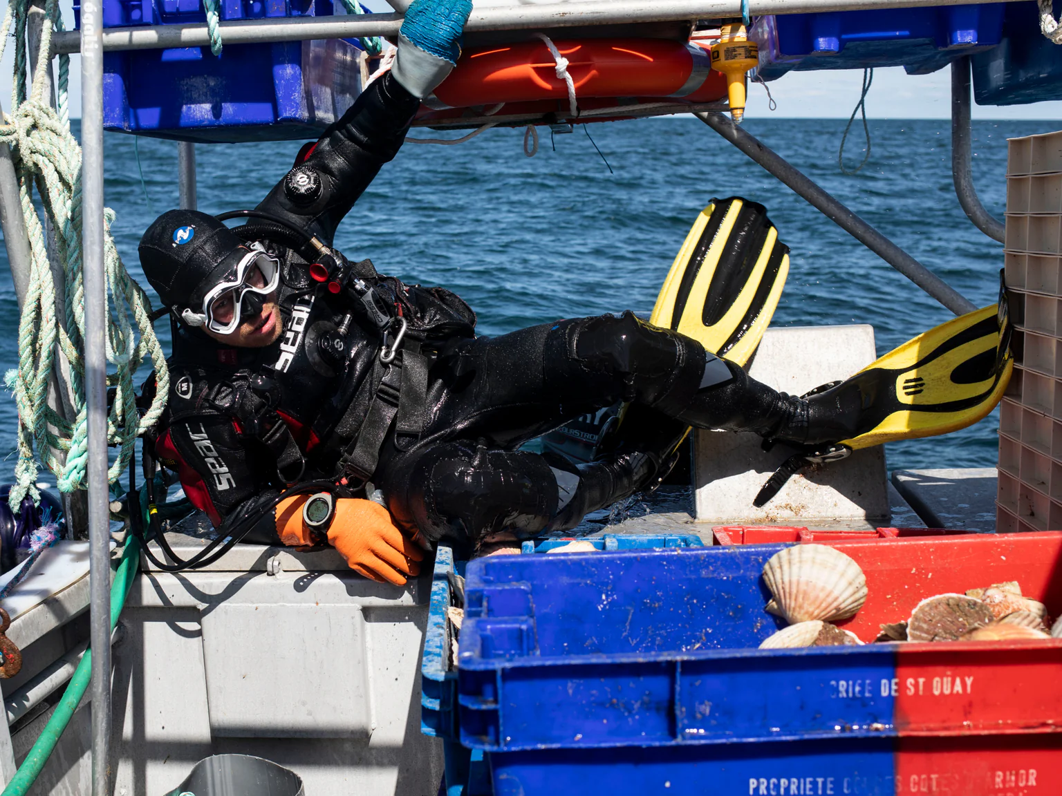 Pêcheur de coquilles Saint-Jacques en plongée