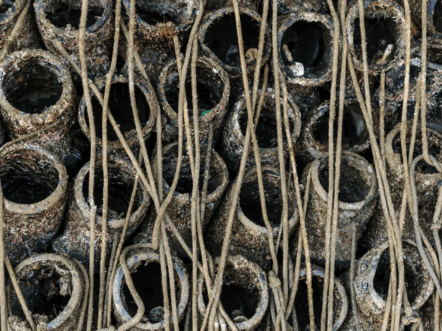 Un piège spécialement conçu pour les poulpes, déposé au fond de l’eau.