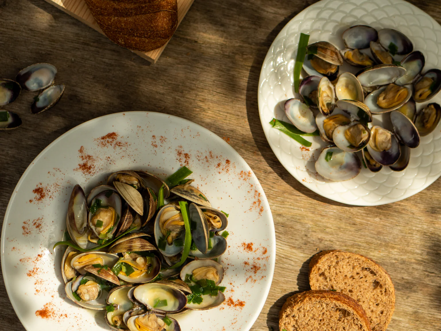 Découvrez notre recette inratable pour cuire les coquillages à la perfection