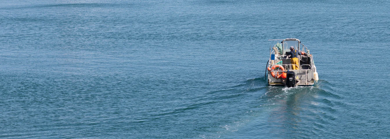 Blog Poiscaille : articles sur les produits de la mer