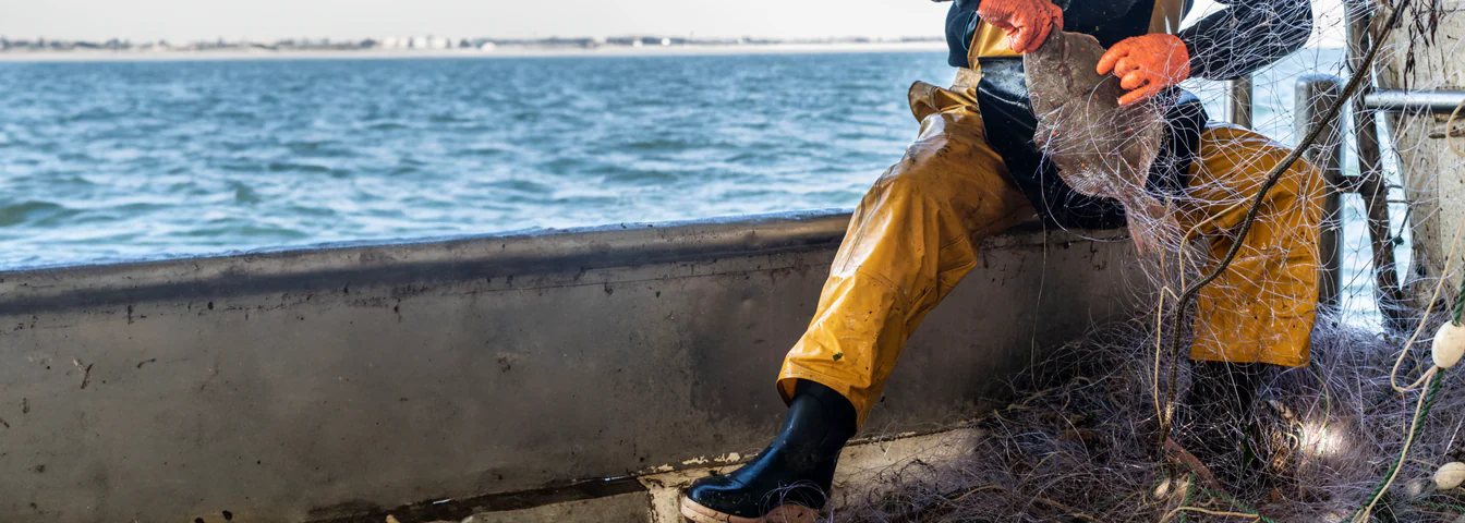 Les pêcheurs du réseau Poiscaille partagent notre vision de la durabilité