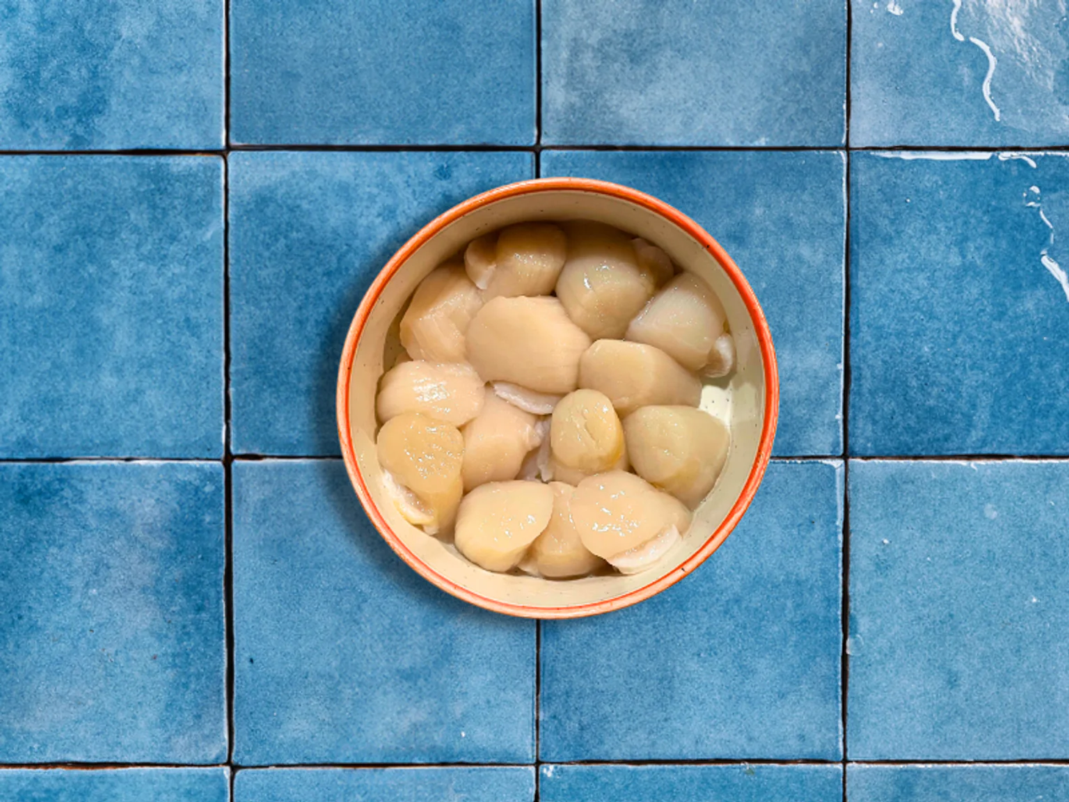 Photos de coquilles Saint-Jacques décoquillées