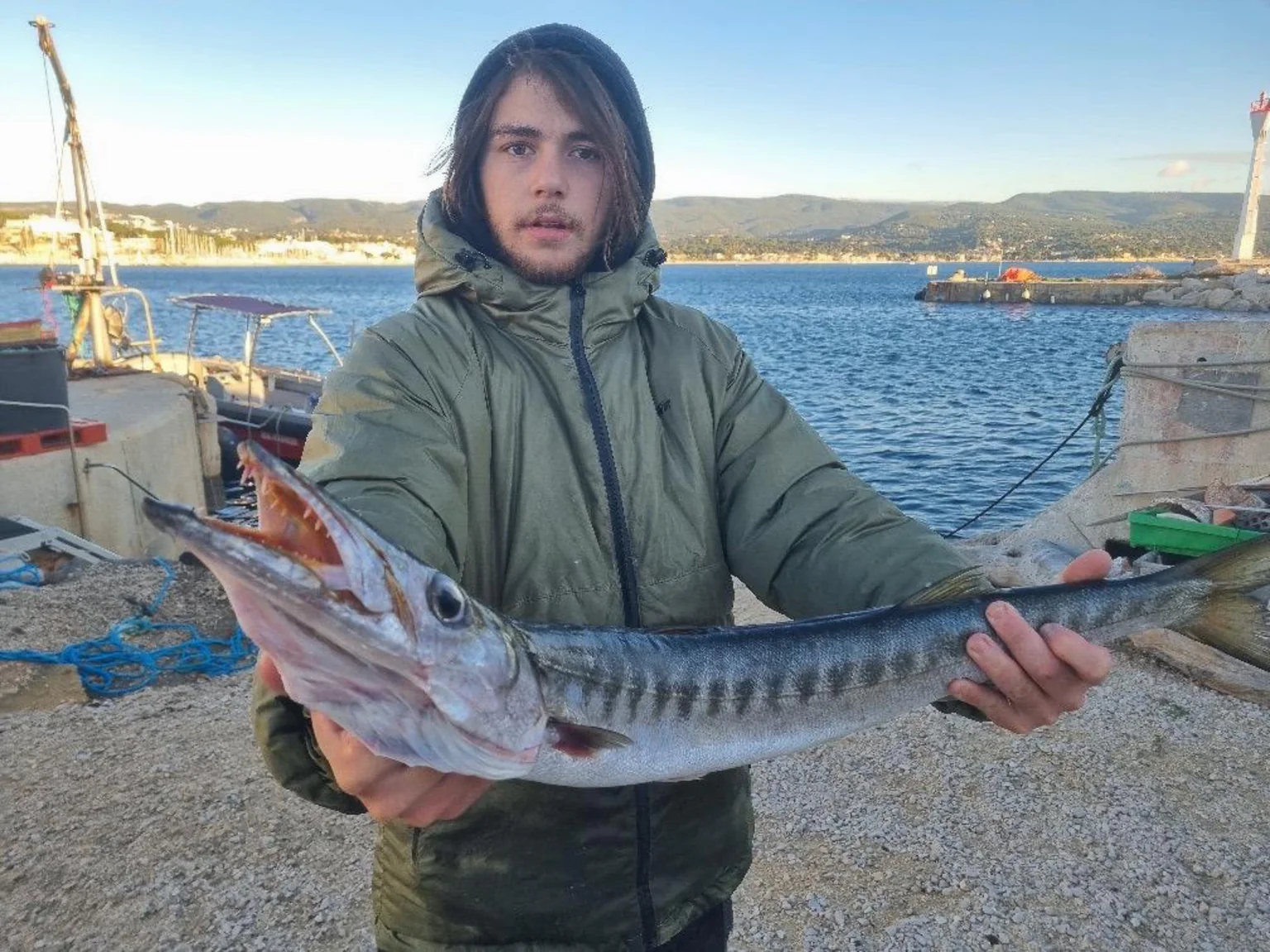 Les barracudas comment Ă faire partie des prises rĂ©guliĂšres des pĂȘcheurs du Var.