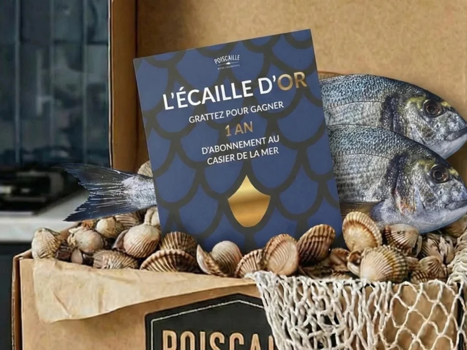 Le retour du tant attendu jeu de l'écaille d'or