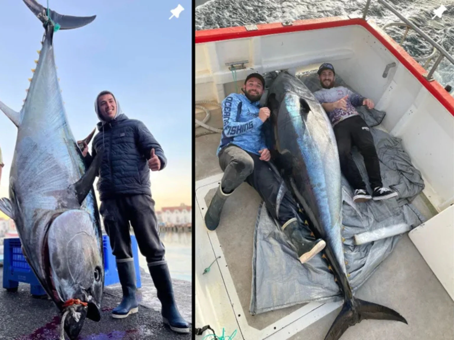 Les grands thon rouges sont déjà présents dans le Pays Basque !