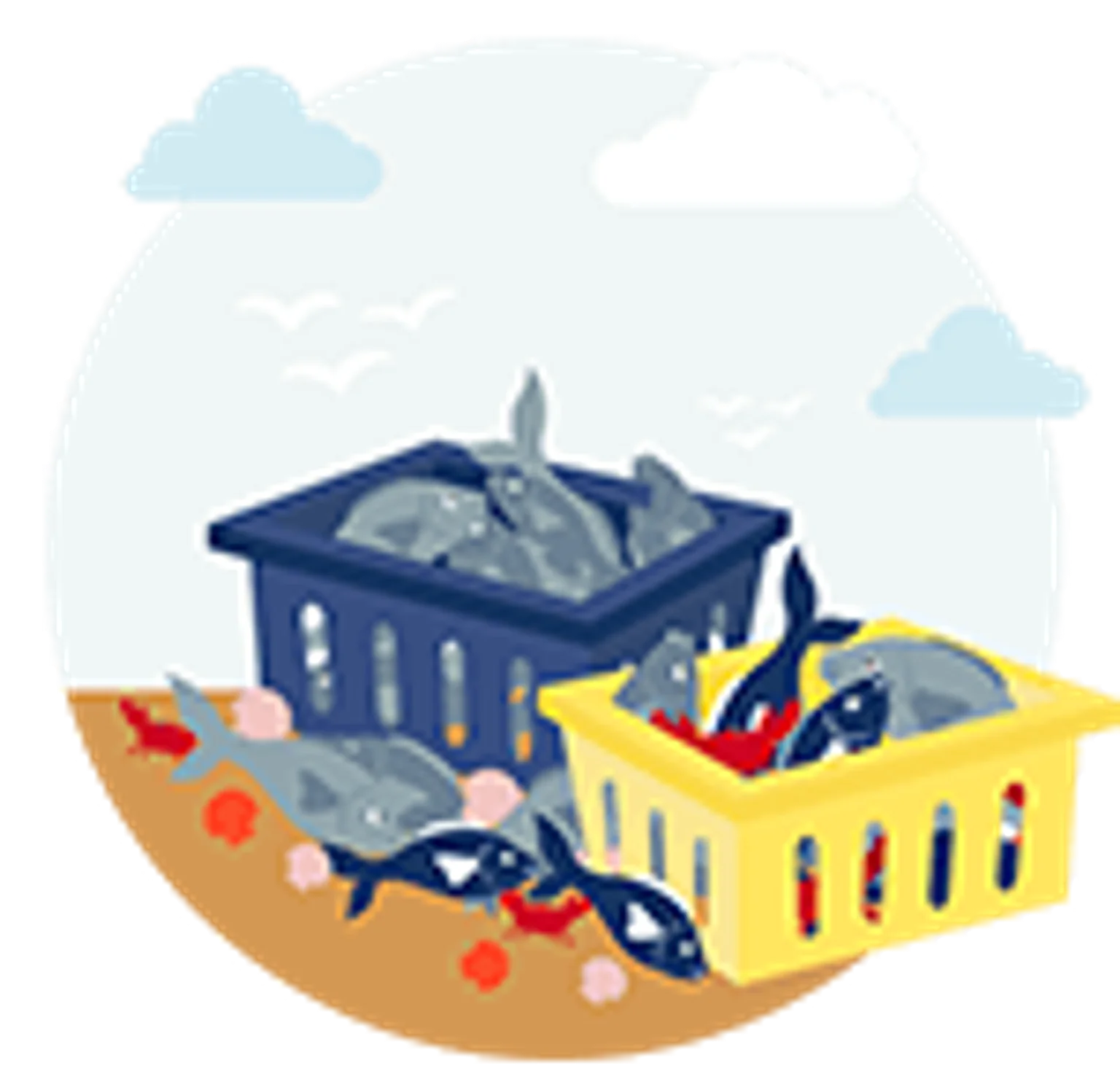 casiers-de-la-mer1-4