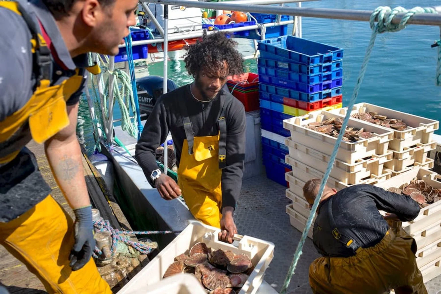 Willy, Kenan et l'équipage de l'Ivyanna vont débarquer les dernières coquilles.