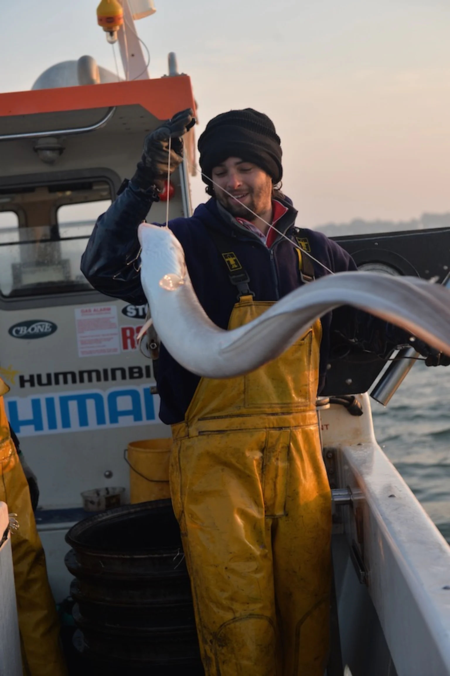 matelot-bar-lieu-thon-rouge-de-ligne