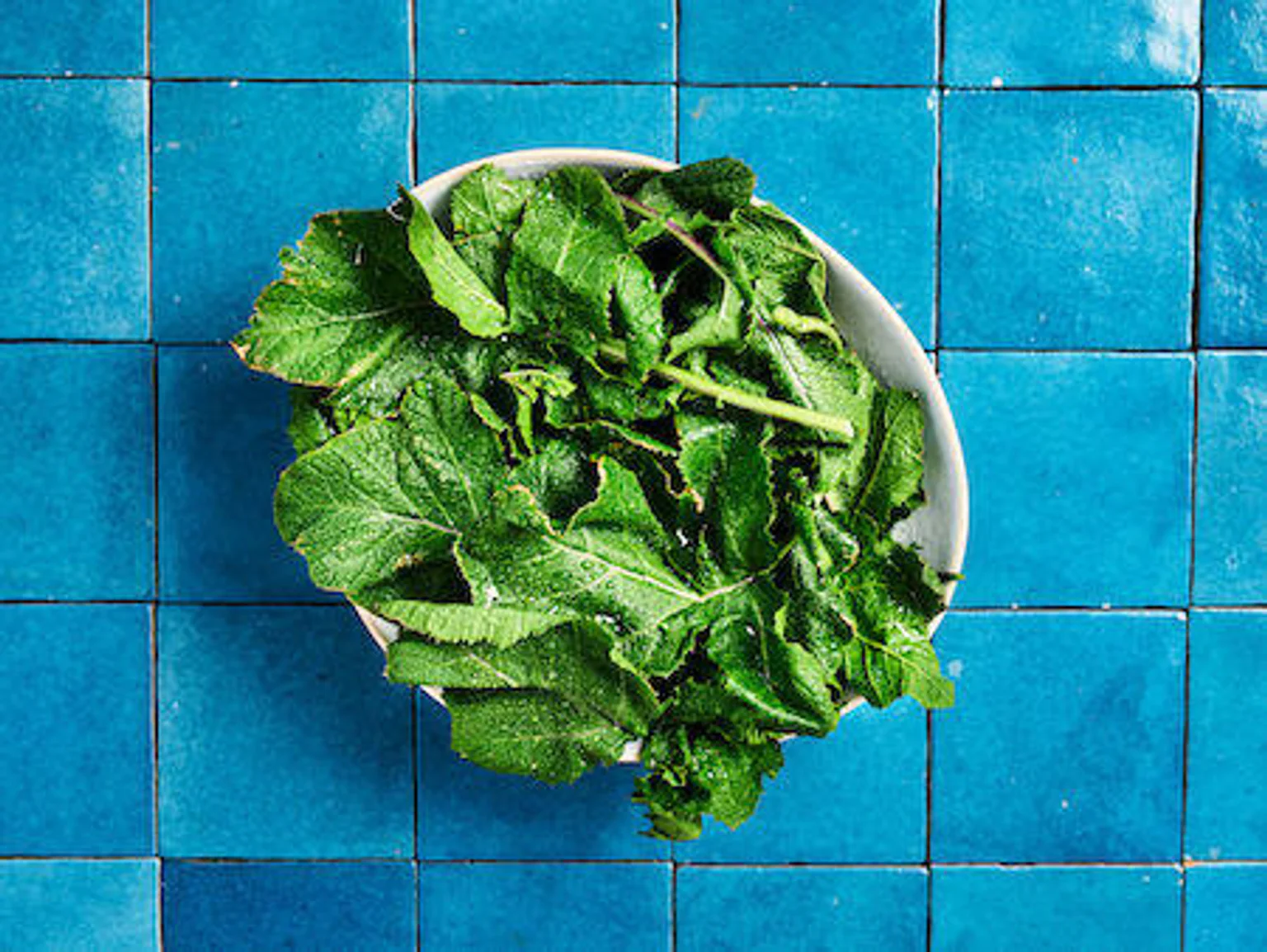 Photo moutarde sauvage sur fond carrelage bleu