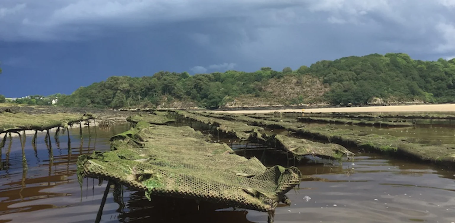 parcs-moule-de-la-laita