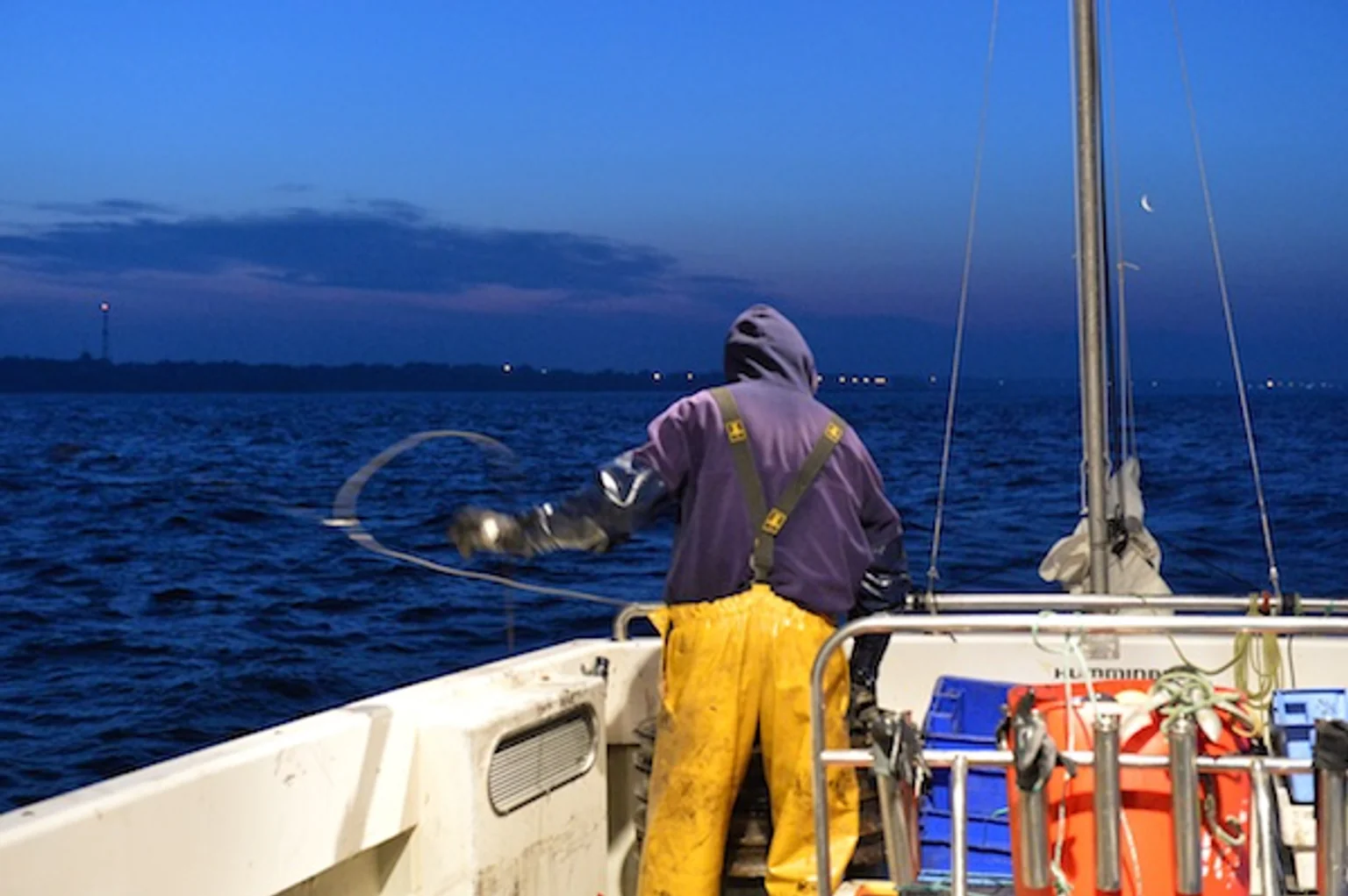 poisson-ligne-durable-bar-lieu-jaune