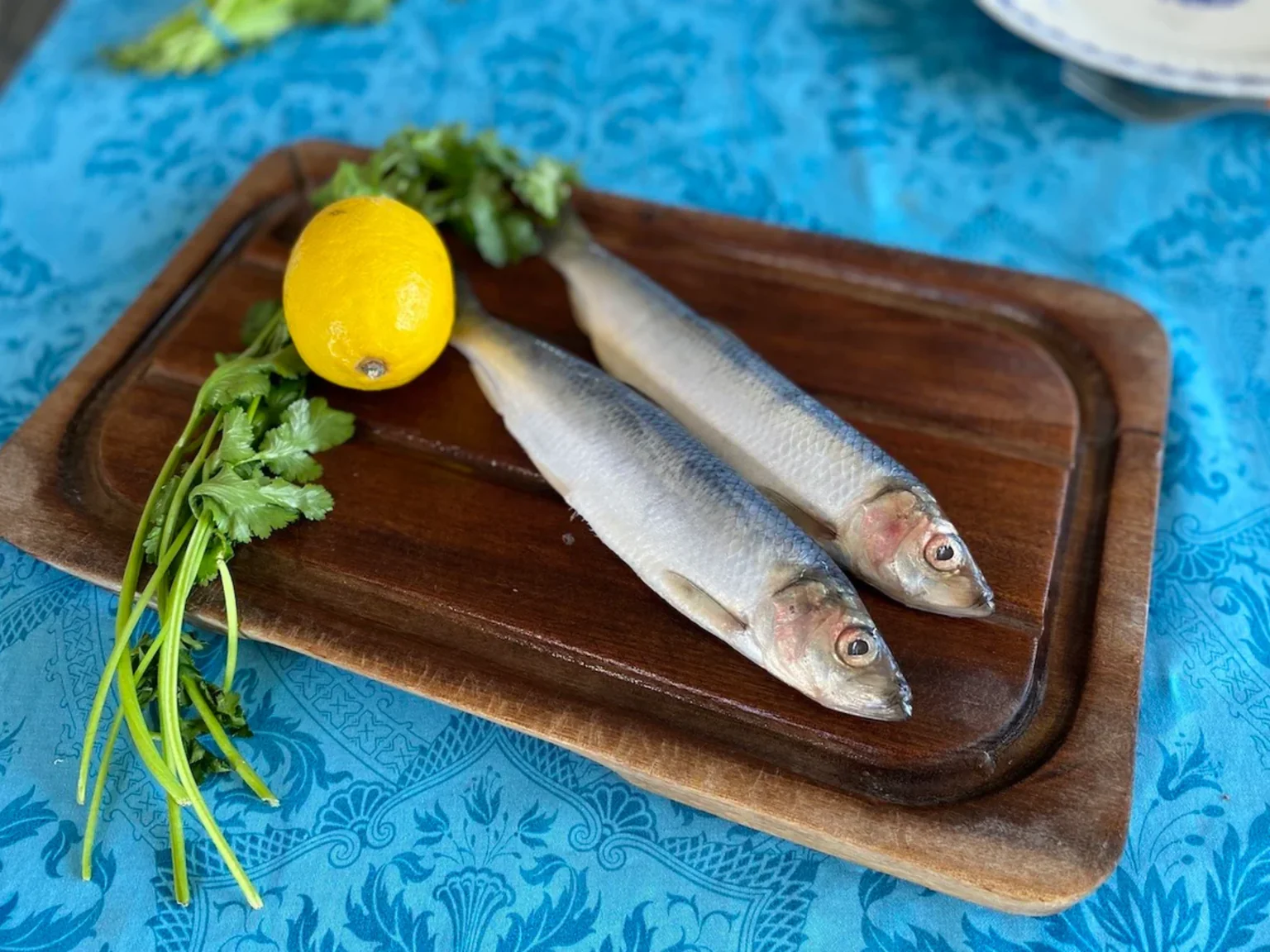 Arrivée imminente des harengs frais pêchés au filet ! 