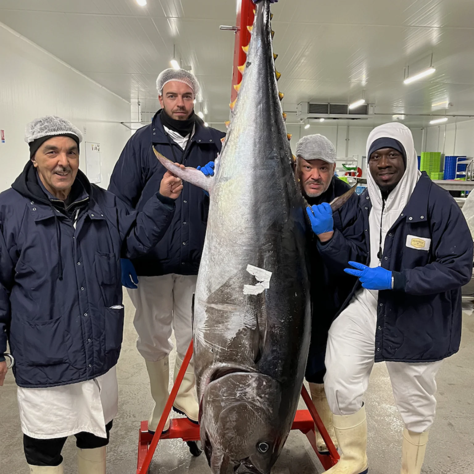 Gros thon avec les équipes Poiscaille.  