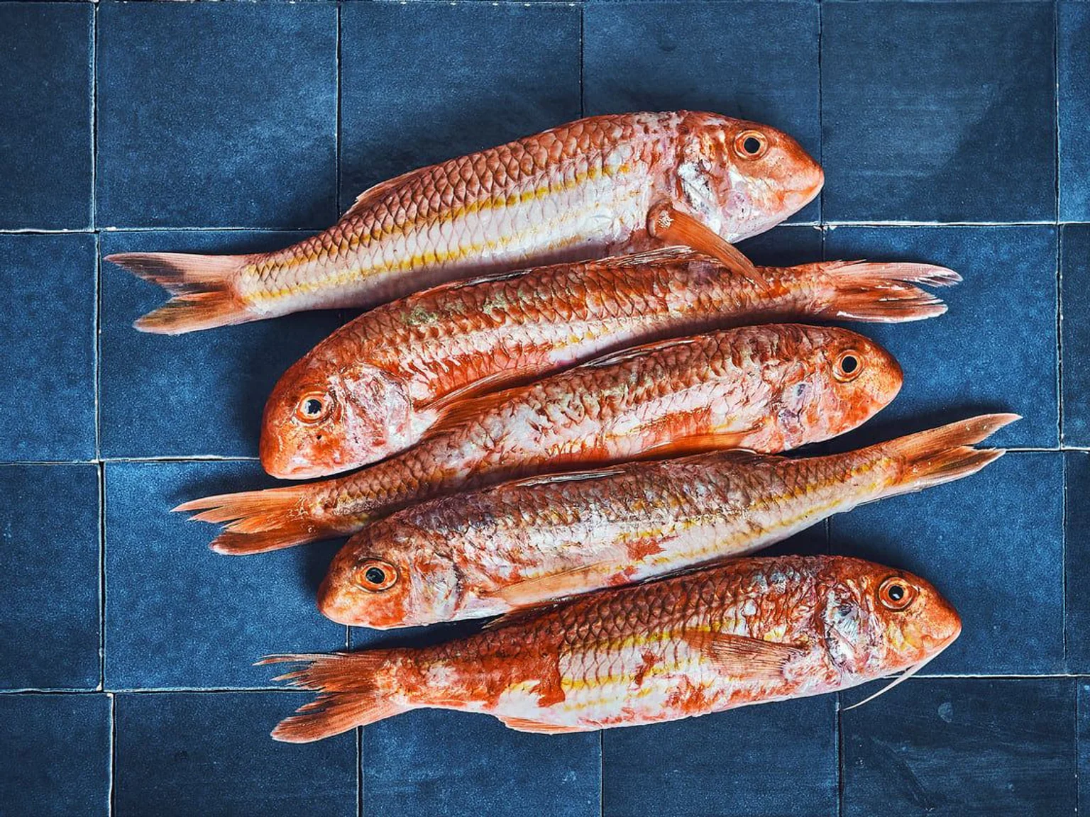 De délicieux rougets barbets à déguster !