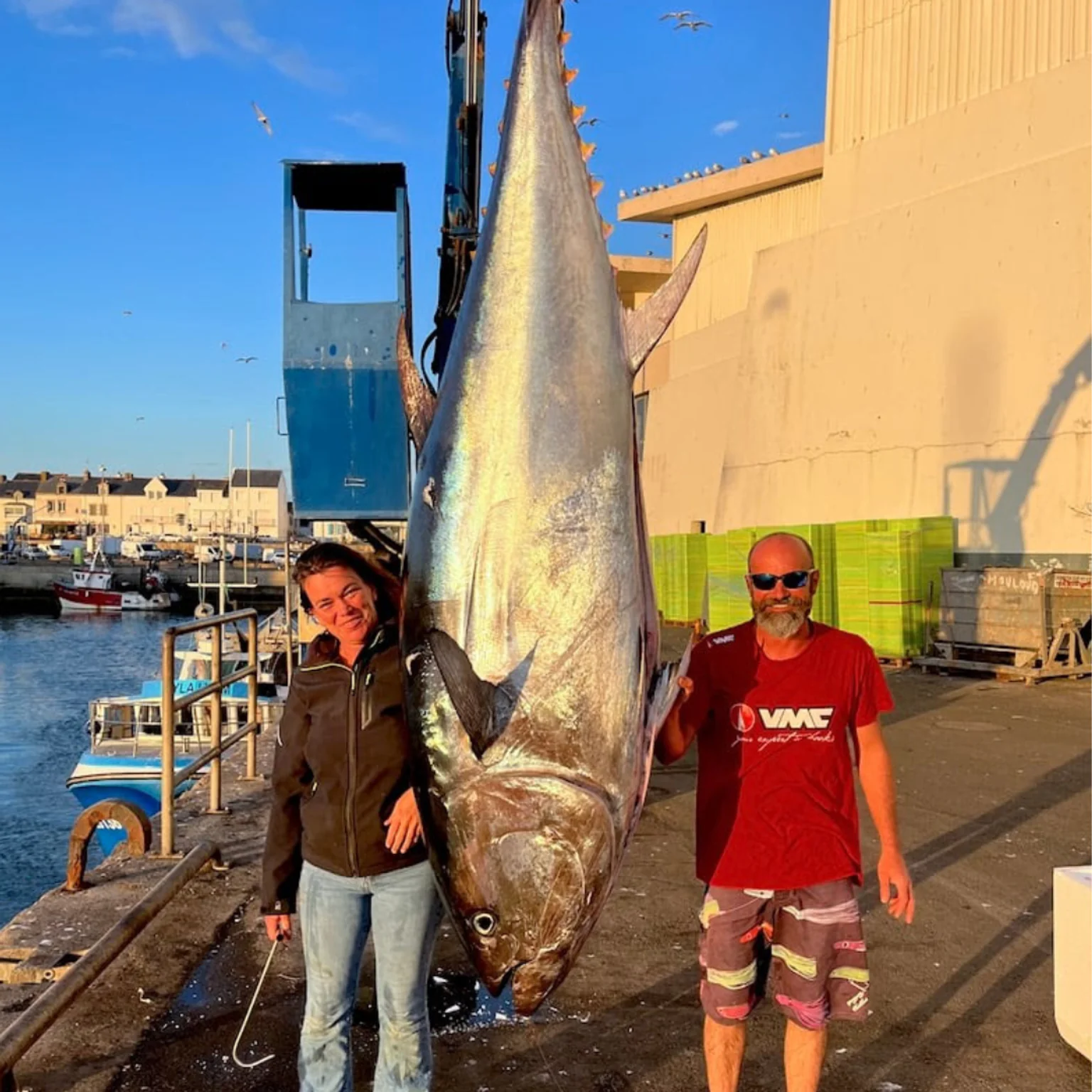 Très gros thon rouge en Atlantique