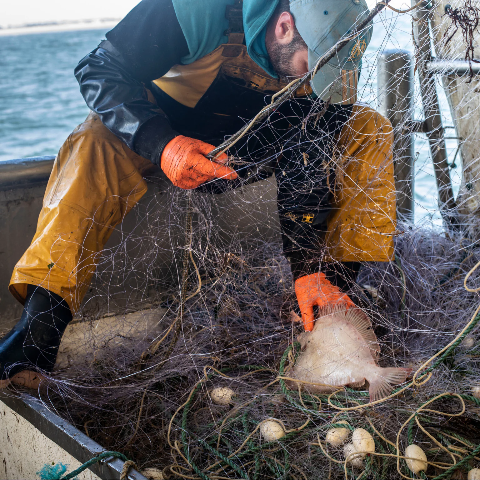 Petite pêche artisanale et cotière Poiscaille
