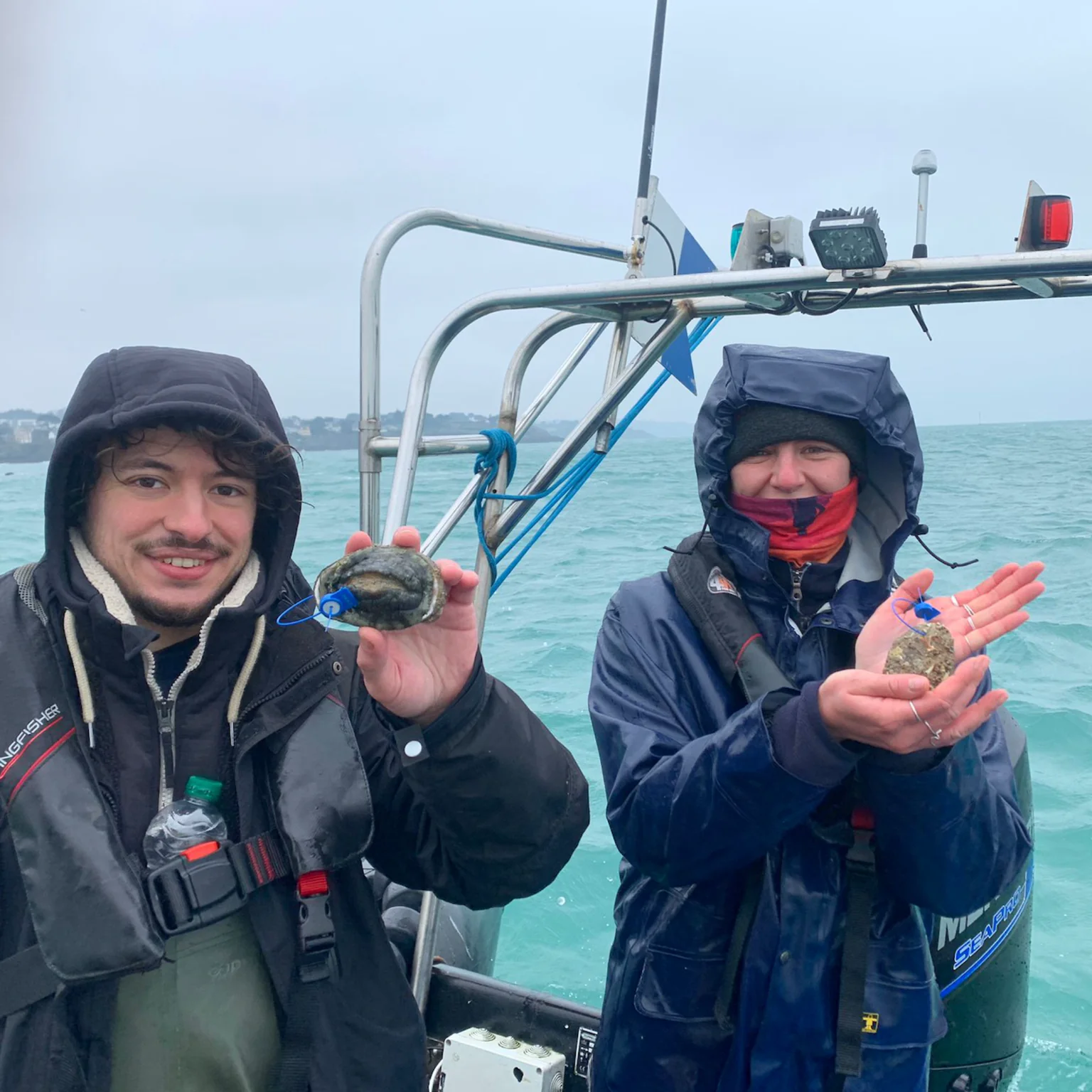 image questions fréquentes FAQ            