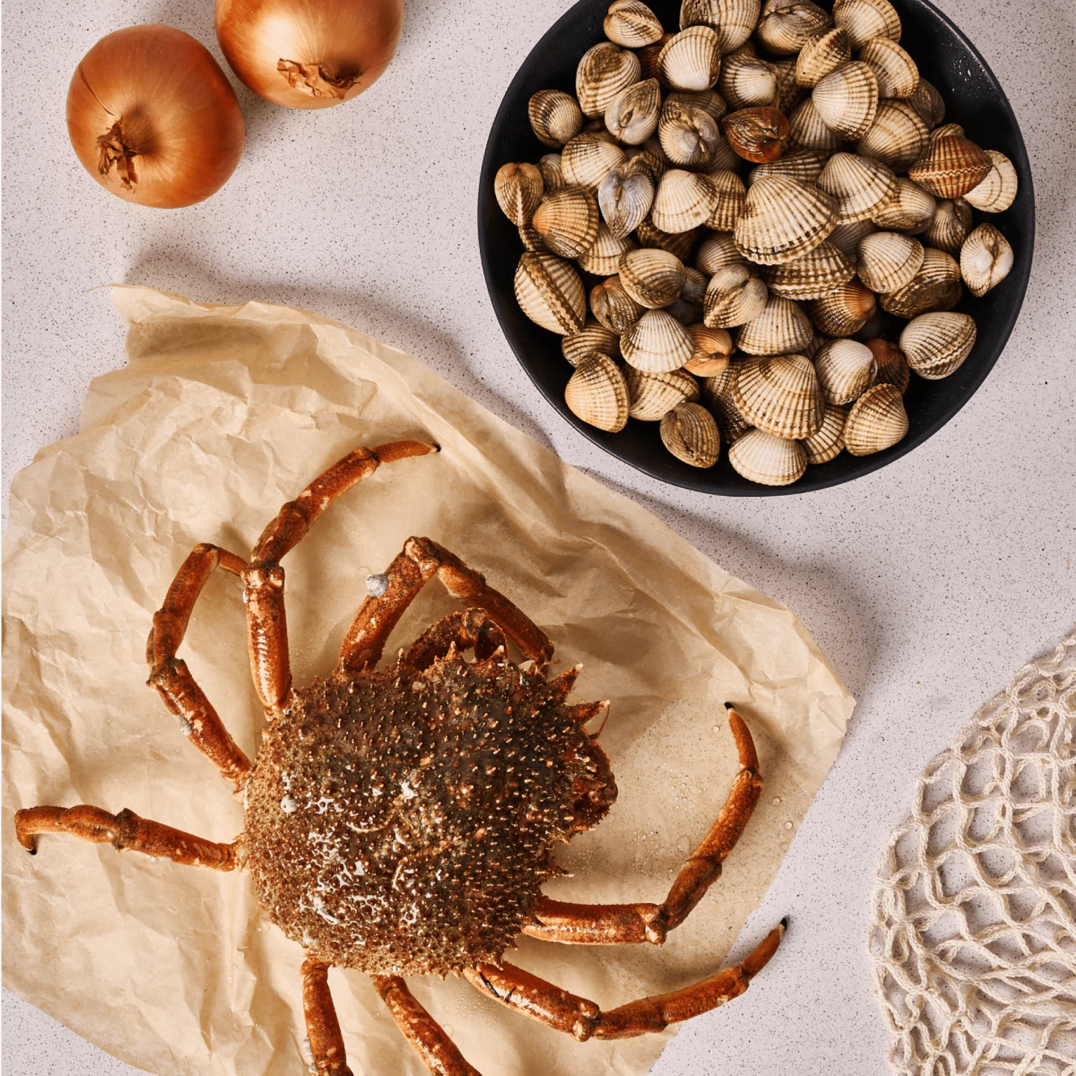 Casier araignée vivante pêchée au filet droit à Saint-Malo  et coques désablées pêchées à pied à Étel