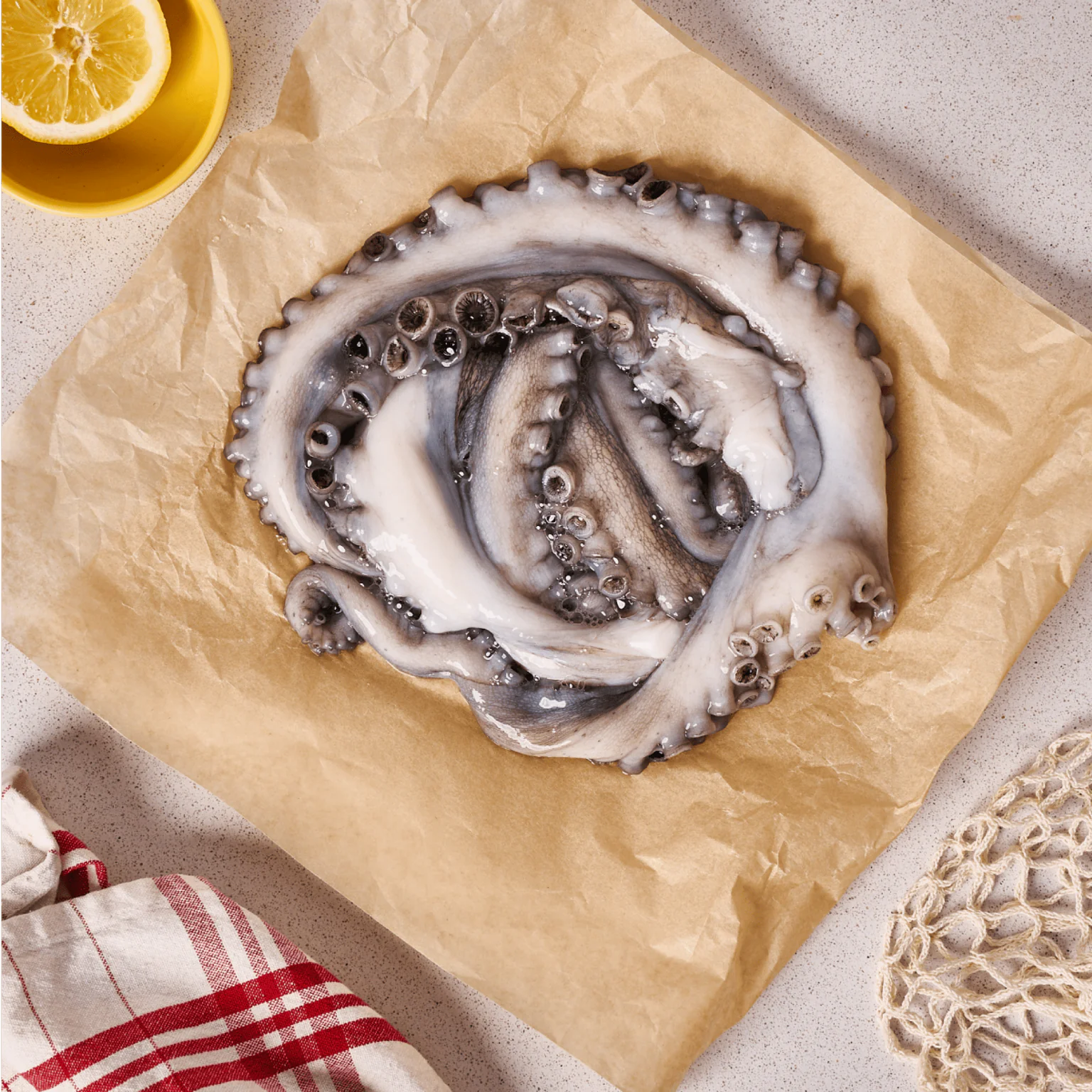 Casier tentacules de poulpe. Pêché au casier par Florian au Guilvinec.