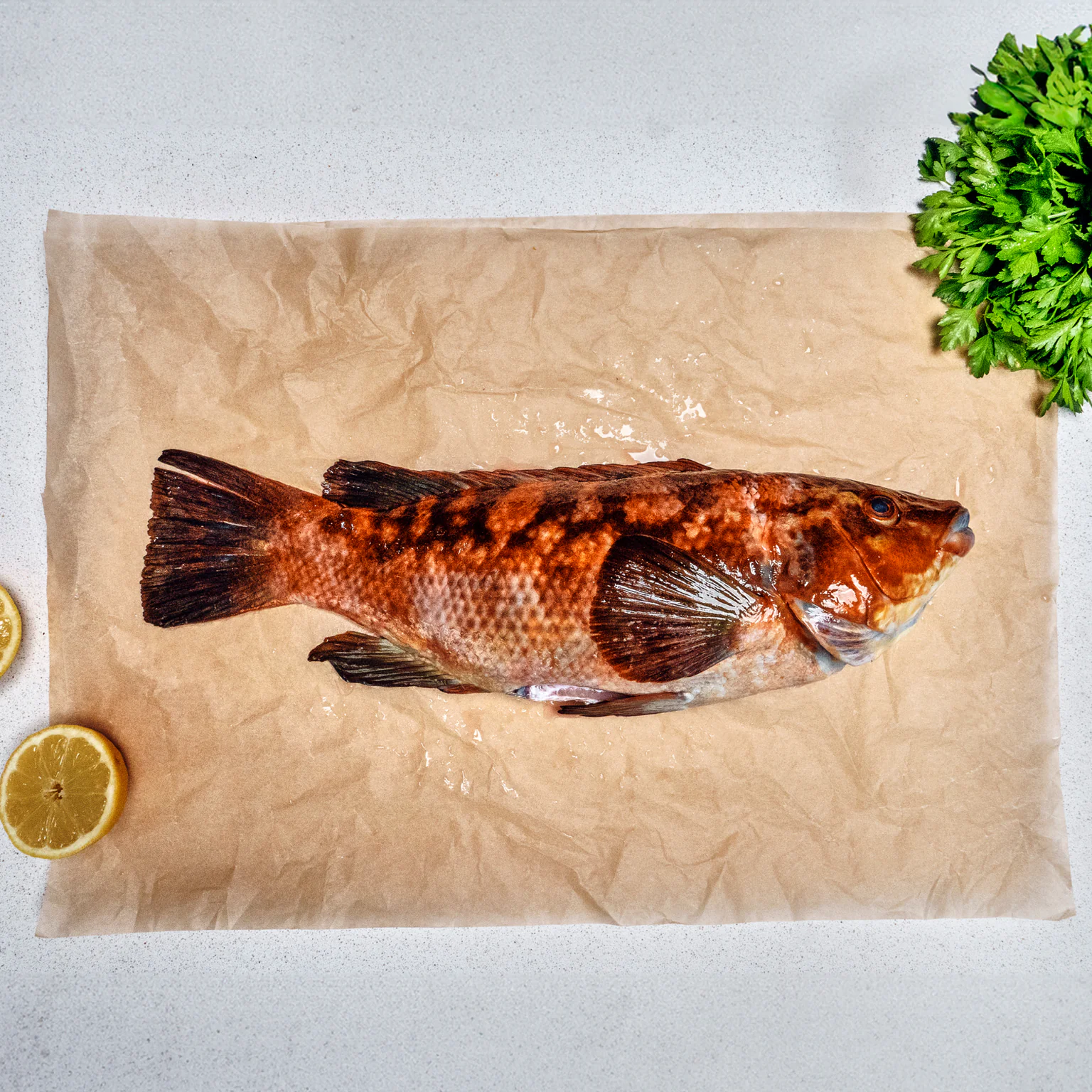 Casier de vieille commune pêchée au filet trémail