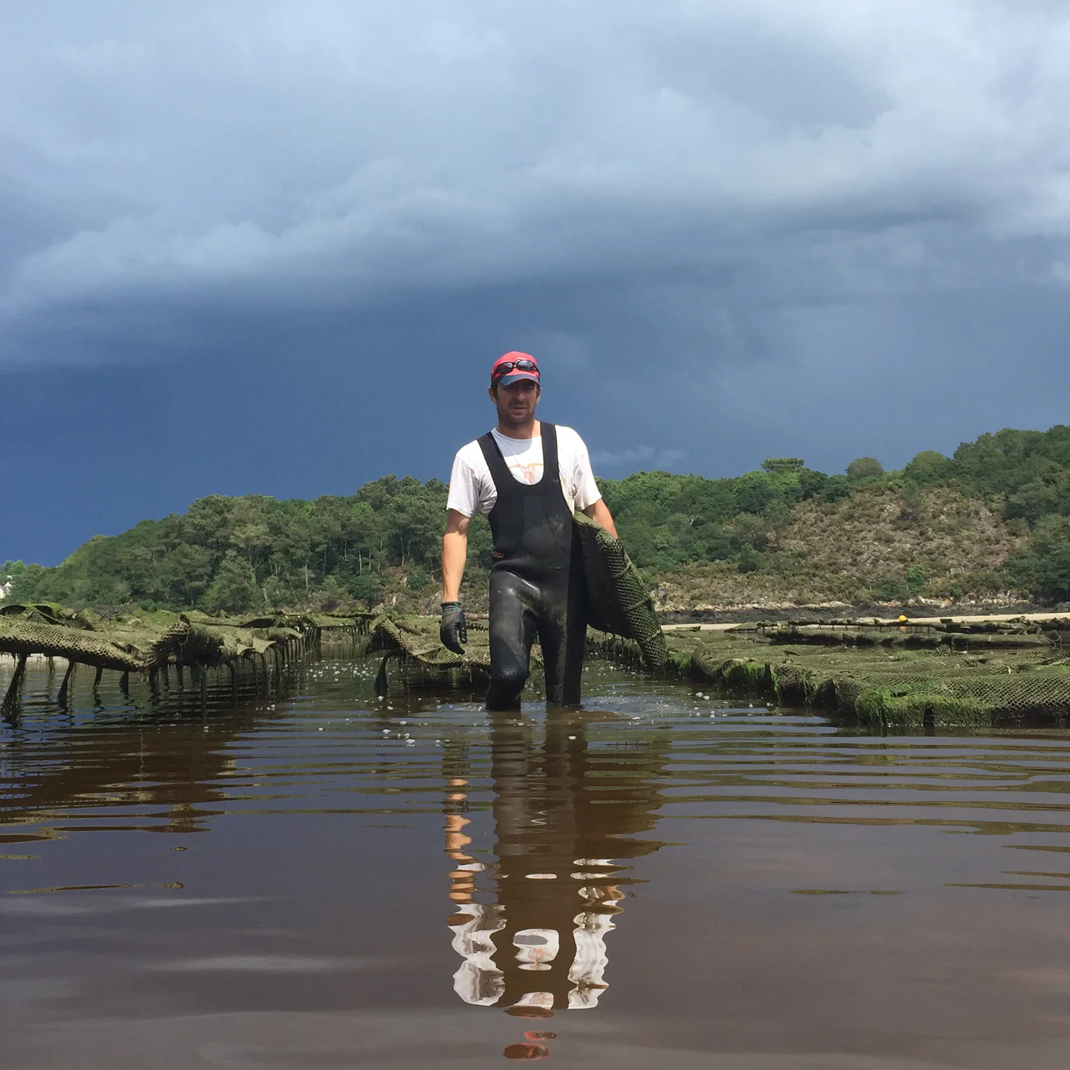 Laissez-vous séduire par le goût exceptionnel des moules de Groix