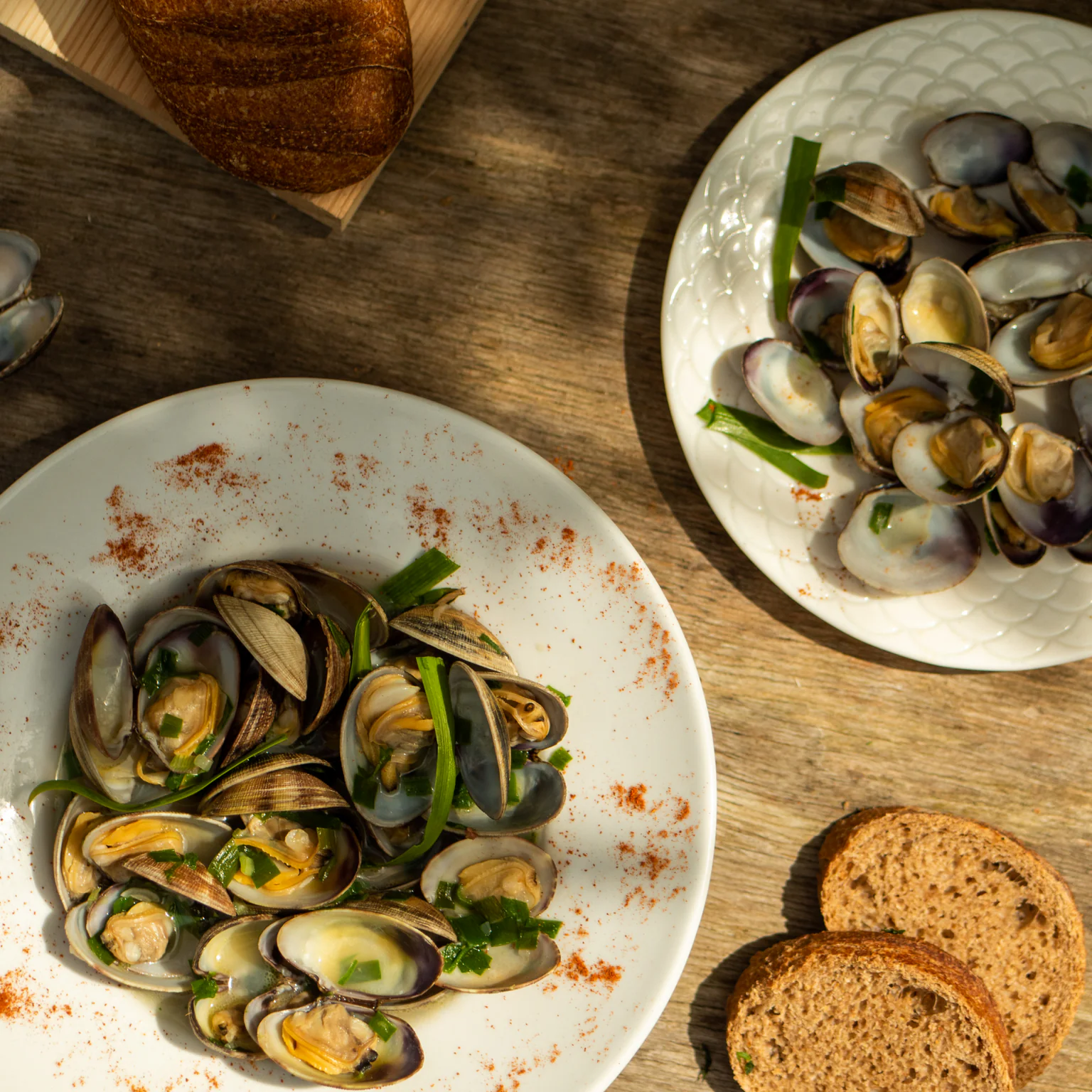 Découvrez notre recette inratable pour cuire les coquillages à la perfection